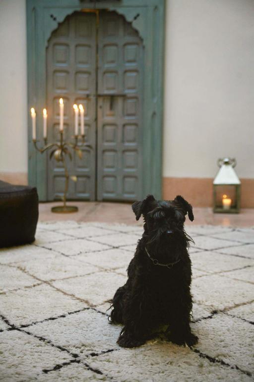 Riad Le J マラケシュ エクステリア 写真